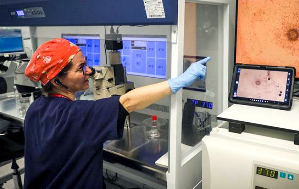 La congelació d'òvuls es dispara sense que la llei permeti destruir els no usats