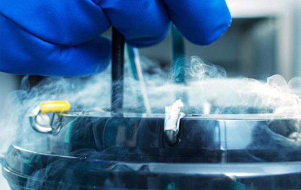 Un estudi mostra que cada vegada més dones congelen òvuls abans, però fer-ho als 35 anys encara és massa tard