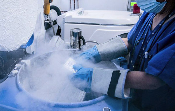 La liofilització de l'esperma obre la porta a conservar-lo en ambients extrems