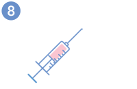 Ovodonació - Transferència de blastocist