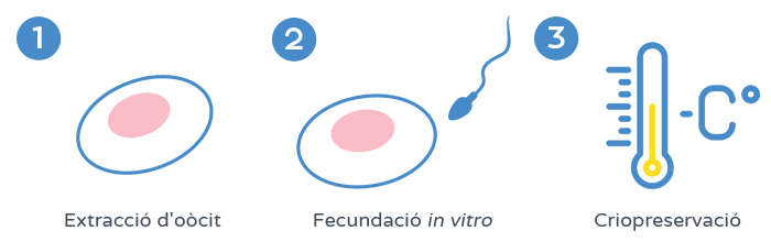 Preservació de la fertilitat - Criopreservació d'embrions