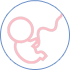 Embaràs - Visites i controls - Segon trimestre