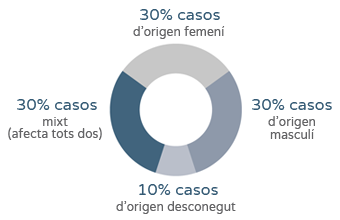 Estudi de fertilitat femenina - Gràfic percentatges